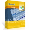 Kernel for DBF Database Repair Technician License