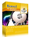 Kernel for Windows Data Recovery Technician License