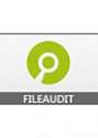 FileAudit MEDIUM 1000 users 5 servers