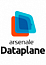 Arsenale Dataplane - Jira Reports 10 users