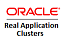 Oracle Real Application Clusters One Node Named User Plus Software Update License & Support