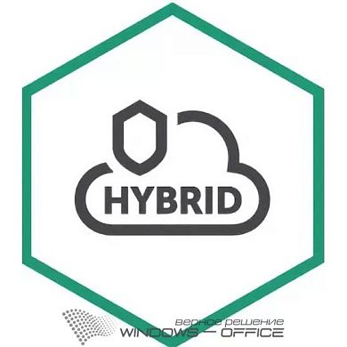 Kaspersky Security для виртуальных и облачных сред – Enterprise Edition, Server Russian Edition. 2 - VirtualServer 2 year Base License - Лицензия