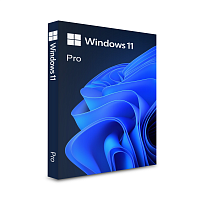 Windows 11 Профессиональная (Professional)