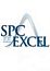 SPC for Excel 101-250 licenses (price per license)