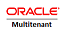 Oracle Multitenant Named User Plus License
