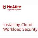 MFE Cloud Workload Sec Basic P:1BZ[P+] J 10001-+ ProtectPLUS Perpetual License with 1yr Business Software Support