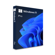 Microsoft Windows 11 Professional 64-bit English Intl non-EU/EFTA USB HAV-00164/HAV-00162