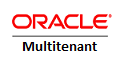 Oracle Multitenant Named User Plus License