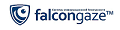 Лицензия на программное обеспечение Falcongaze SecureTower - cервер перехвата