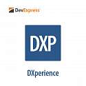 Developer Express - DXperience Subscription