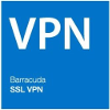 Barracuda SSL-VPN 180Vx 1 Year License