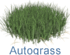 Happy Digital Autograss for V-Ray for 3ds Max