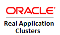 Oracle Real Application Clusters Named User Plus Software Update License & Support