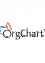OrgChart Now 250 Subscription (up to 250 employees) (1 Year)