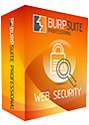 PortSwigger Burp Suite Professional license - valid for one year