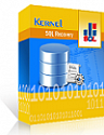 Kernel Recovery for SQL Technician License