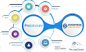 Prolaborate Professional Model Collaboration