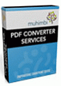 PDF Converter Services Server License