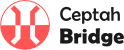 Ceptah Bridge more 20 users