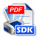CutePDF Form SDK Single-Server License