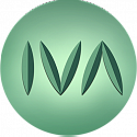Сервера видеоконференций IVA MCU для участников Вебинара