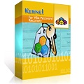 Kernel for VBA Password Recovery Technician License