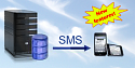 Ozeki NG SMS Gateway Standard licenses 10 MPM