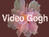 RE:Vision Effects Video Gogh v3.8.1 (Floating License)