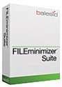 FILEminimizer Suite 2-9 users (price per user)
