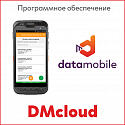 DMcloud: ПО DM:Доставка - подписка на 12 месяцев