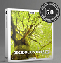 Deciduous Forests Stereo & Surround