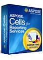 Aspose.Cells for Reporting Services Developer Small Business
