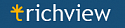 TRichView + ReportWorkshop лицензия на одного разработчика