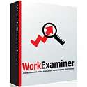 Work Examiner Standard 100-149 лицензий (за лицензию)