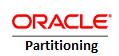 Oracle Partitioning Named User Plus License