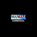 Boomer Labs MAX2AE for 3ds Max