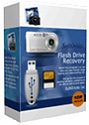 Flash Drive Recovery Бизнес лицензия