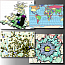 MapInfo Pro Single 1-Year Term