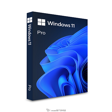 Microsoft Windows 11 Professional 64-bit English Intl non-EU/EFTA USB HAV-00164/HAV-00162