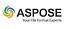 Aspose Business Support Developer Small Business