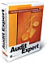 Audit Expert Professional Сетевая версия 20 рабочих мест