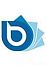 BlueStream Финансовый директор