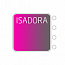 ISADORA 5 licenses